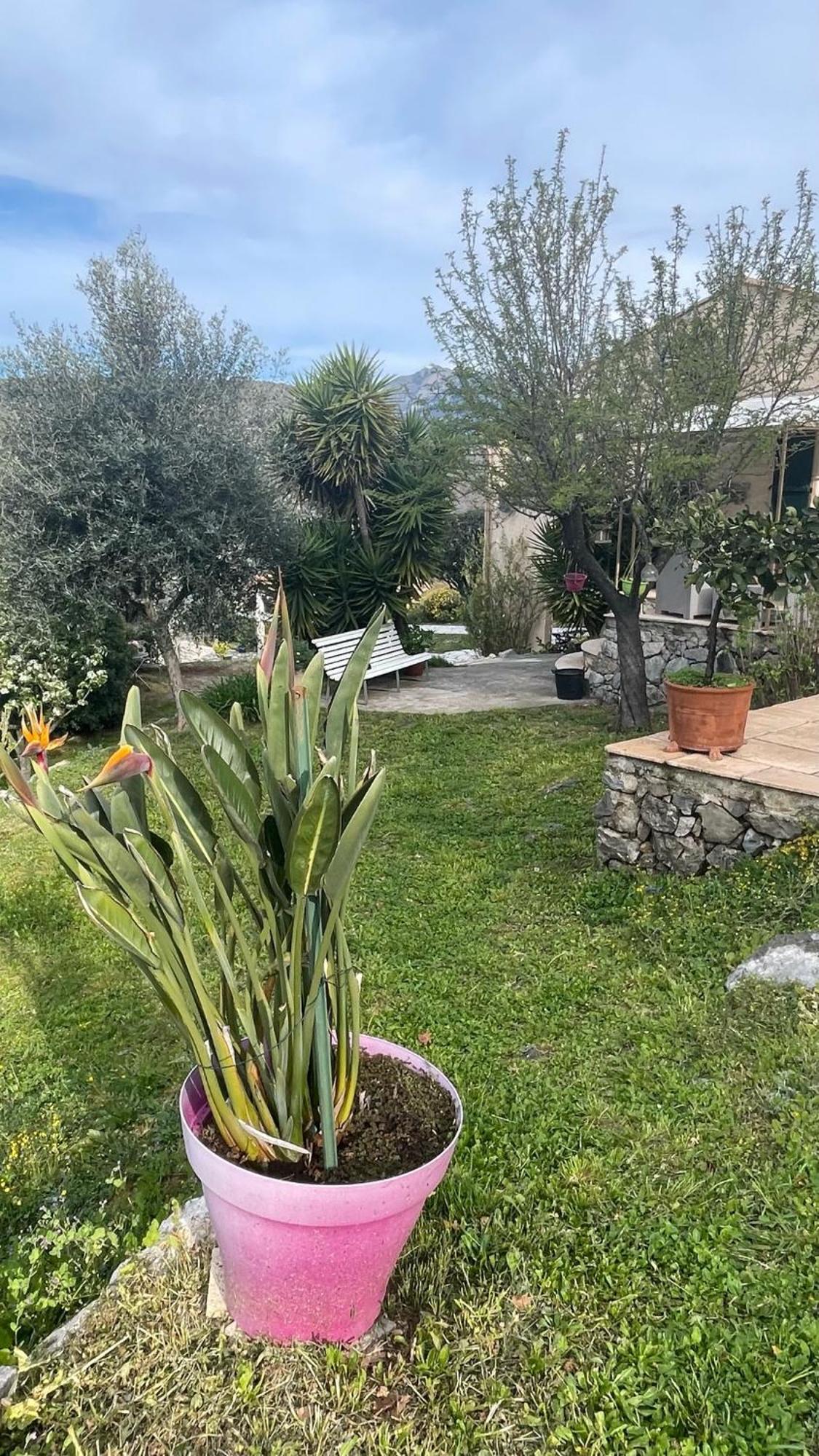 Rez De Jardin, Entre Mer Et Montagne Levens Exteriér fotografie