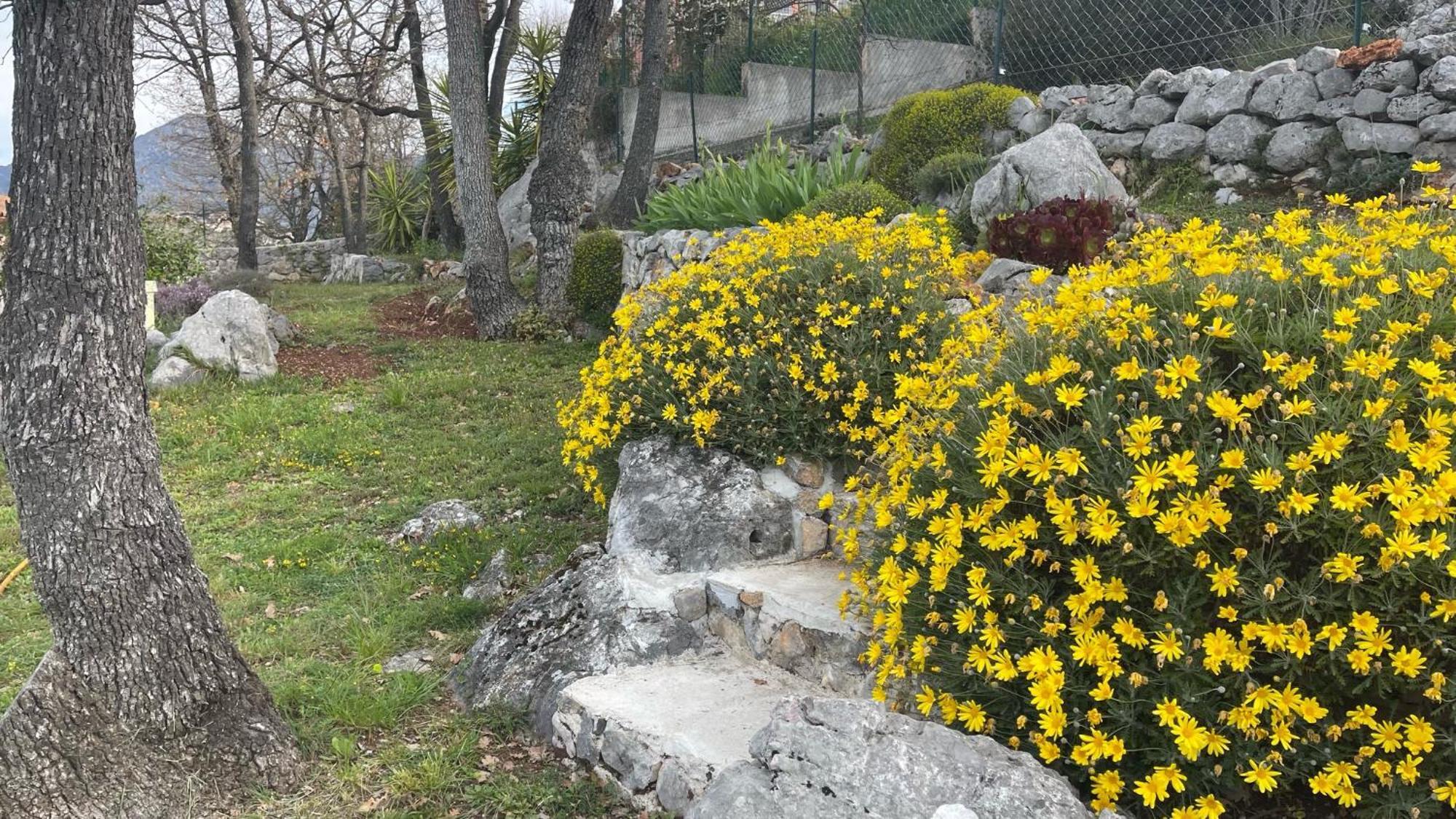 Rez De Jardin, Entre Mer Et Montagne Levens Exteriér fotografie