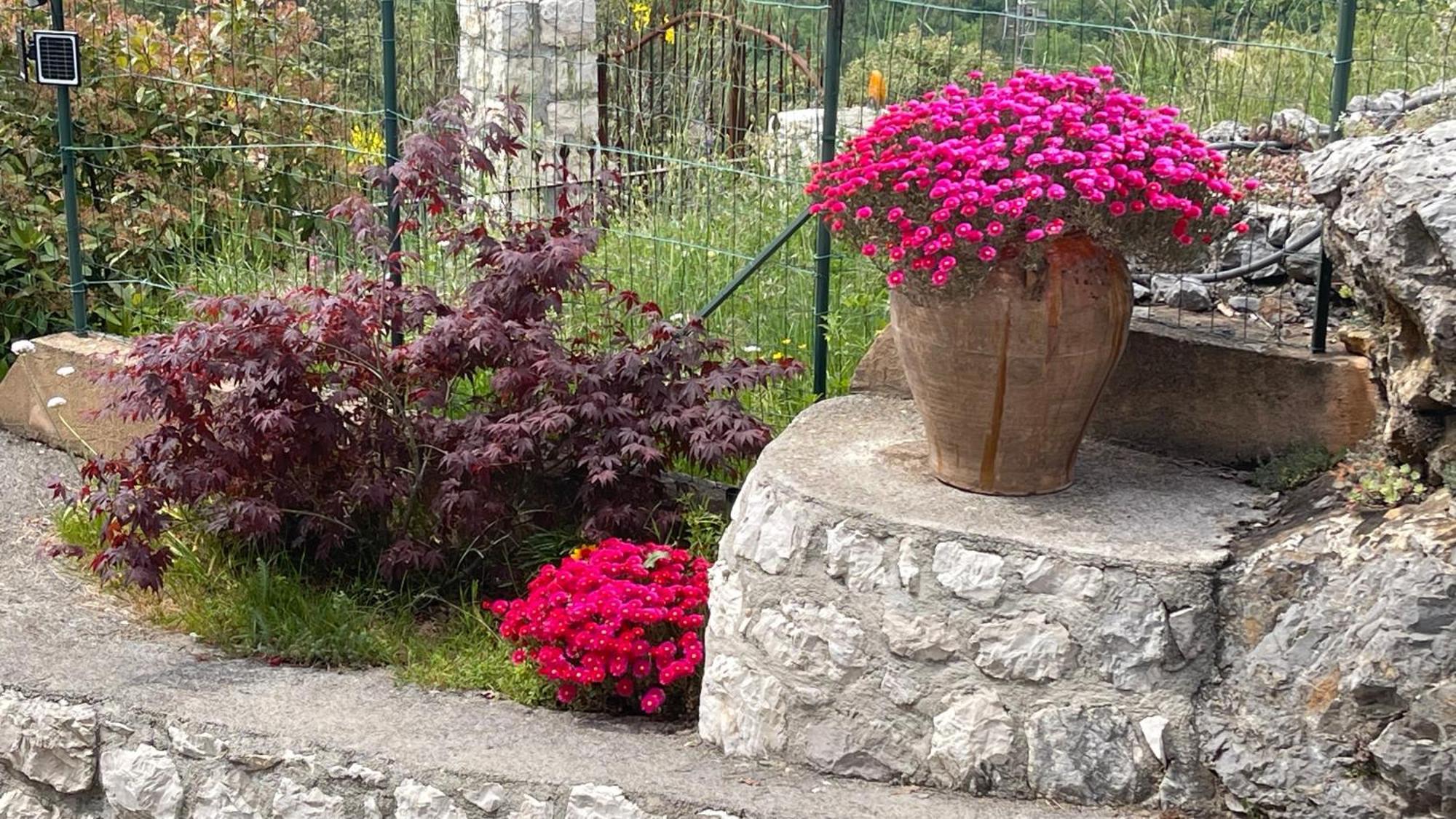 Rez De Jardin, Entre Mer Et Montagne Levens Exteriér fotografie
